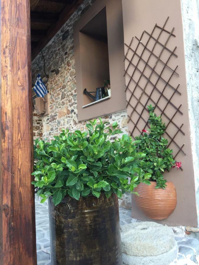 Areti'S Traditional House Apollona Buitenkant foto